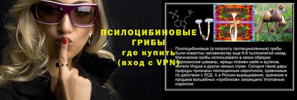 марки nbome Белокуриха