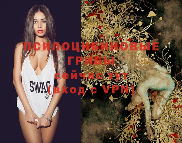 марки nbome Белокуриха
