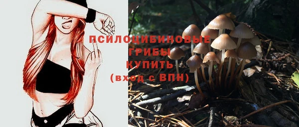 марки nbome Белокуриха